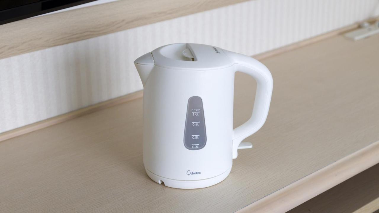 Toyoko Hokkaido Ekimae Daimon Hotel 3*